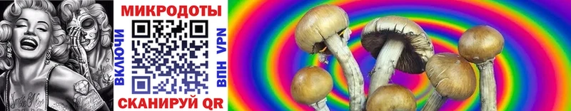 Псилоцибиновые грибы Psilocybe  цены   Краснознаменск 
